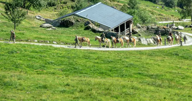 Foto: Schlemmer