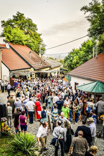 Das Kellergassenfest in Rohrendorf hat für die Besucher viel zu bieten. | Foto: Robert Herbst