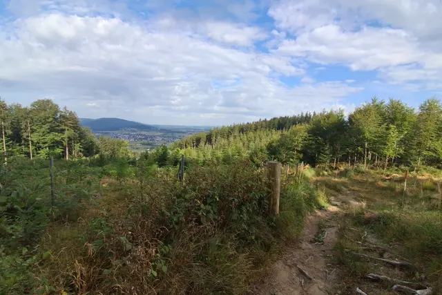 ...einer schöner Weg, mit Weitblick.