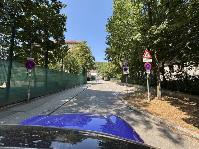 Hier in Alois-Mayer-Gasse sollten die Eltern eigentlich nicht mehr fahren, um ihre Kinder abzuladen. Lieber schon davor. So wird es für alle sicherer. | Foto: Lauren Fahrenberger / MeinBezirk