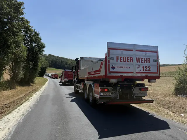 Die Feuerwehren Rohr, Bocksdorf und Stegersbach standen mit insgesamt über 30 Feuerwehrmitgliedern und sieben Fahrzeugen im Einsatz. | Foto: Bezirksfeuerwehrkommando Güssing