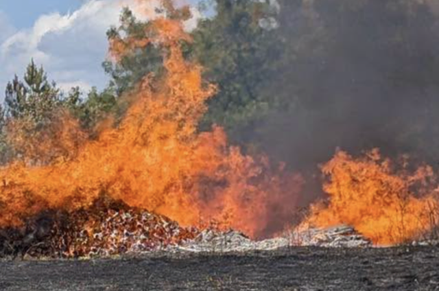 Ein Waldbrand bei Altenhof hat am Montagnachmittag, 10. August 2026, einen Großeinsatz der Feuerwehren ausgelöst. | Foto: FF Gars am Kamp