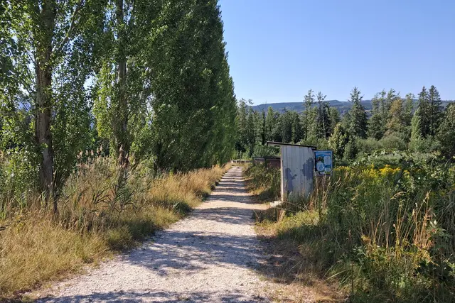 ...das weitläufige, schöne Gelände lädt zum verweilen
ein und man erfährt einiges über das fleißige Bienenvolk.  