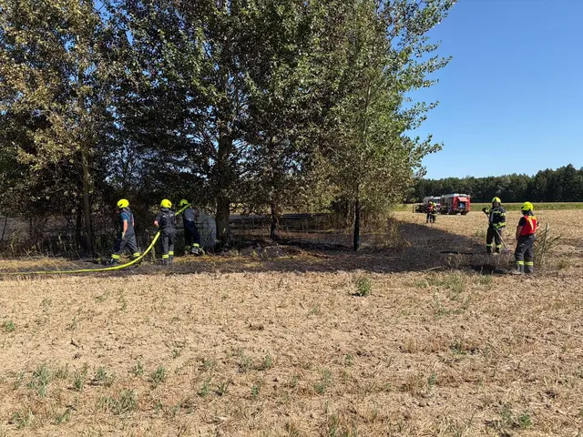 Die Feuerwehren bei dem Einsatz am Mittwoch-Nachmittag. | Foto: BFKdo Perg