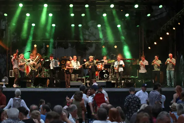 Ein voller Erfolg: Das Weltmusik-Festival "Hiesige &amp; Dosige" ging zum 25. Mal im Wieselburger Schlosspark über die Bühne. | Foto: fotostud.io by Johnny Gruen/halle2