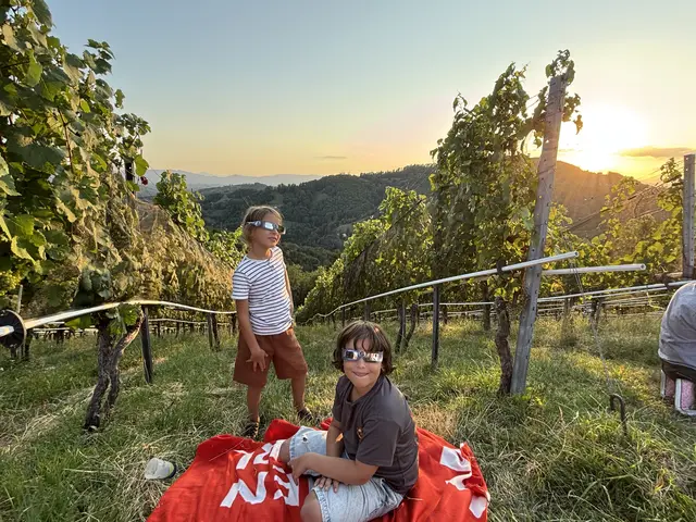Foto: MeinBezirk