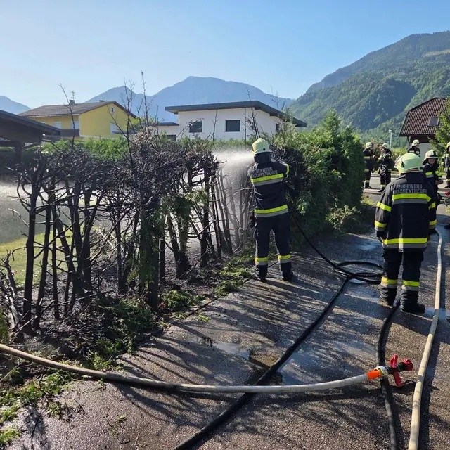 Rund 20 Meter Thujenhecke waren vom Brand betroffen. | Foto: Freiwillige Feuerwehr Kirschentheuer
