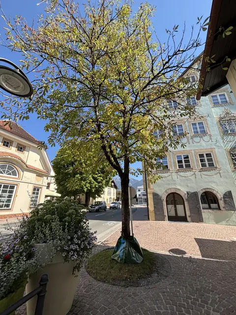 Foto: MeinBezirk/Hartman
