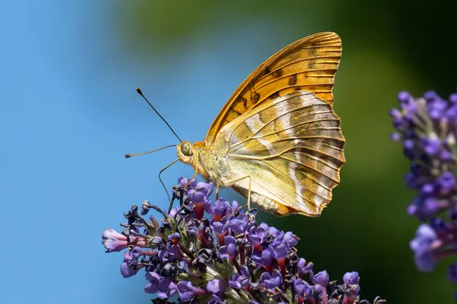 Foto: Daniel Zupanc