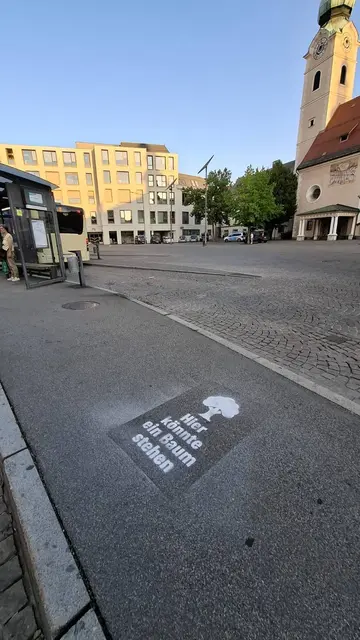 Foto: Greenpeace