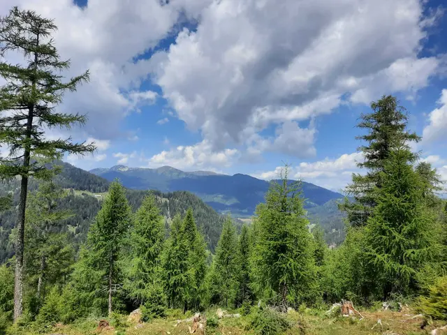 Wohlfühl-Wald statt Wild-West: Gerade im Forst sind Rücksicht und klare Regeln für ein gutes Miteinander wichtig. | Foto: Lina Chalusch