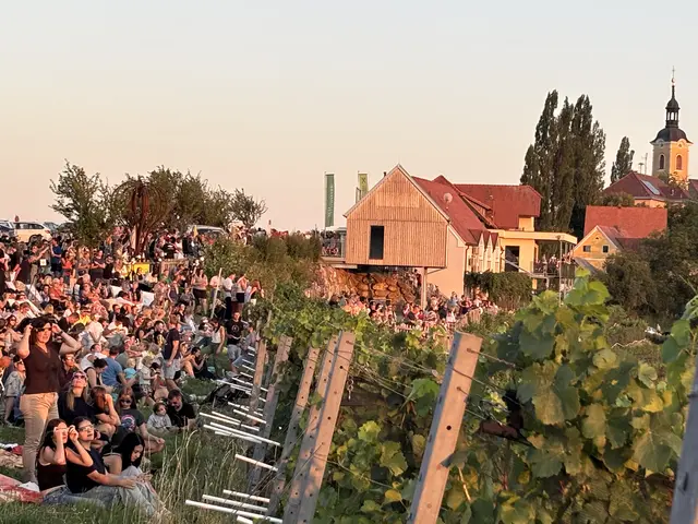 Hunderte Menschen verfolgten in Kitzeck die angekündigte Sonnenfinsternis. | Foto: MeinBezirk