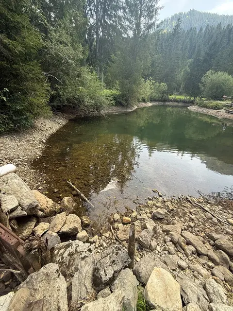 Der Greither Weiher ist beinahe ausgetrocknet - für den Fischbestand eine Katastrophe. | Foto: Waibl