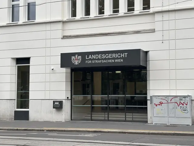 Wegen Verstößen gegen das Verbotsgesetz ist am Donnerstag ein Anhänger der rechtsextremen Hooligan-Gruppierung „Unsterblich“ am Landesgericht zu 20 Monaten bedingt verurteilt worden. (Archiv) | Foto: Ronja Reidinger/MeinBezirk