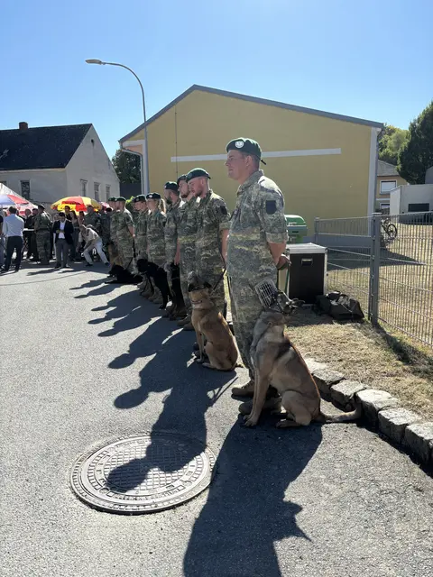 Bereits fertig ausgebildete Militärhunde mit ihren Hundeführern.  | Foto: MeinBezirk/Barbara Babonitsch-Diewald