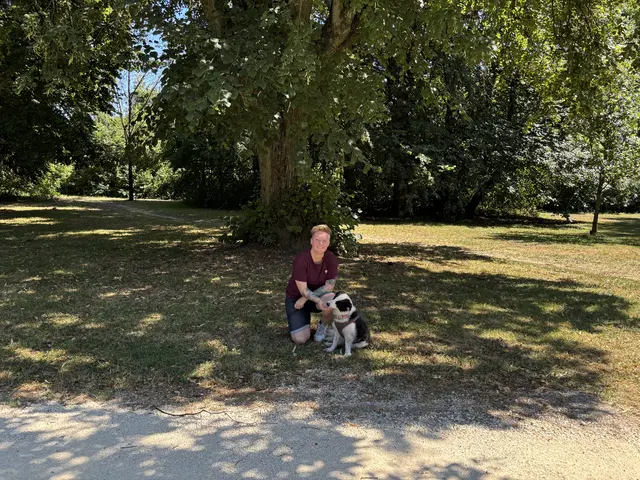 Die Border-Collie-Hündin lebt in der Nähe des Hummelhofwaldes im Linzer Bezirk Bindermichl-Keferfeld. Dienstags und donnerstags verbringt Jasmin Zeit mit ihrer Stammkundin. | Foto: MeinBezirk/Julia Höllhuemer