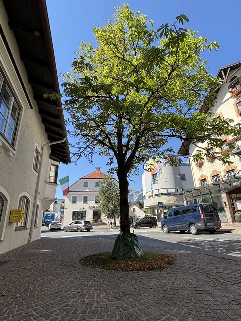 Foto: MeinBezirk/Hartman