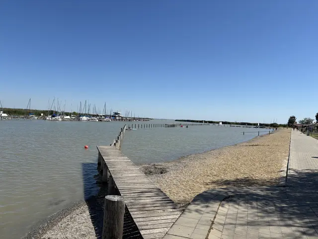 Der Wasserstand des Neusiedler Sees sinkt weiter. Seit Anfang Juni ist der Pegel um rund 35 Zentimeter gefallen. | Foto: Jennifer Flechl / MeinBezirk