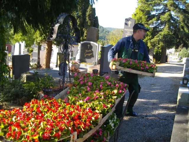 Neben Totengräber bewies sich Tomann auch als engagierter Friedhofsgärtner. | Foto: Lauren Fahrenberger / MeinBezirk