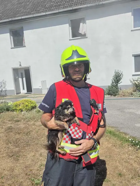Foto: Bfkdo Amstetten