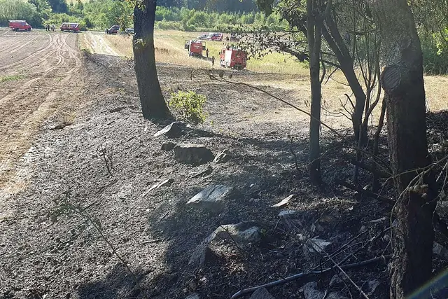 Das Feuer breitete ich rasch aus. | Foto: FF Windigsteig