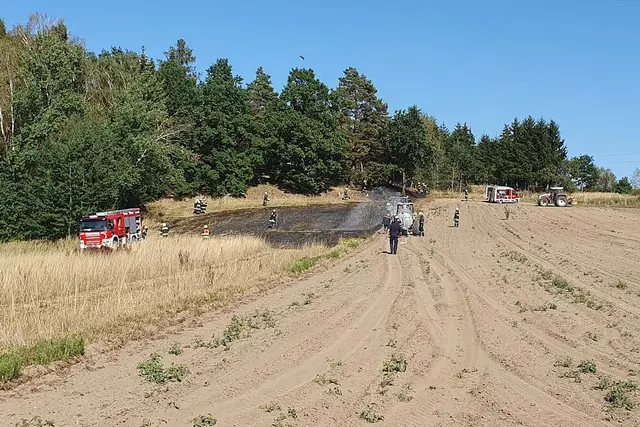 Aufgrund der anhaltenden Trockenheit breitete sich das Feuer rasch aus. | Foto: FF Windigsteig