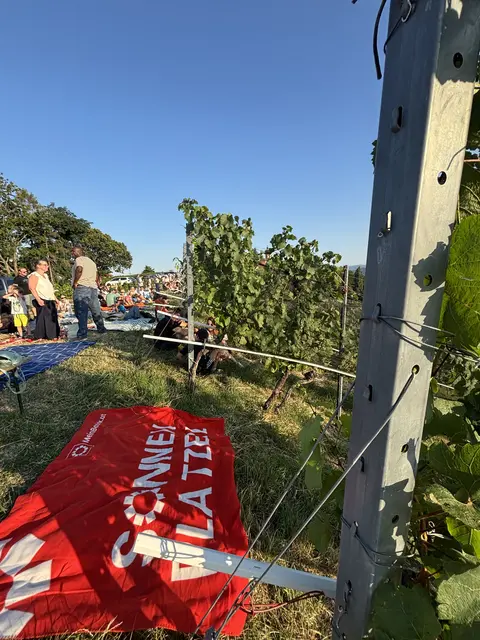 Foto: MeinBezirk