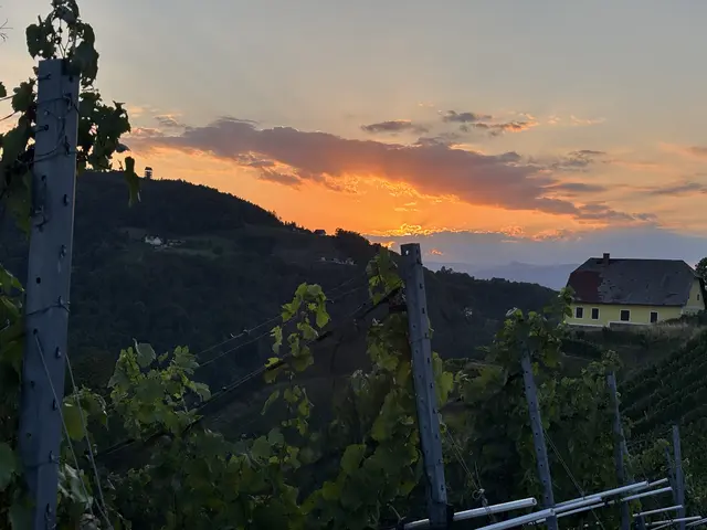 Foto: MeinBezirk