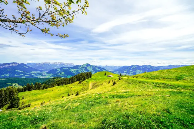 Ein 66-jähriger Gleitschirmpilot verhedderte sich am 12. August beim Flug vom Markbachjoch in einem Baum und blieb in 30 Metern Höhe hängen. | Foto: smarterpix/EllyMiller