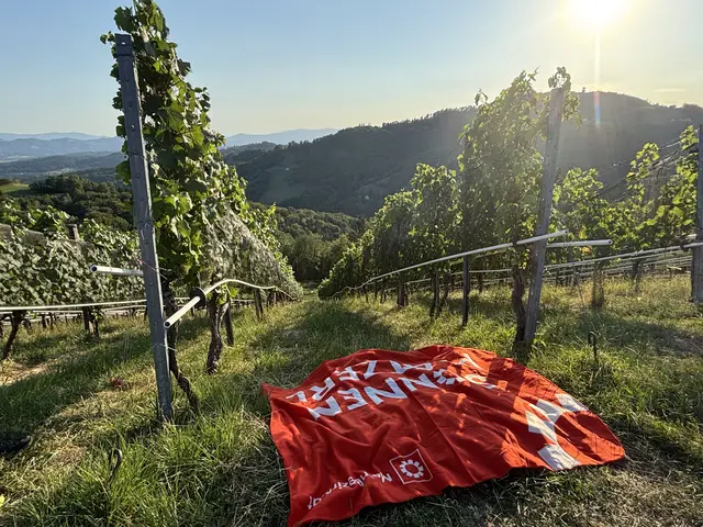 Foto: MeinBezirk