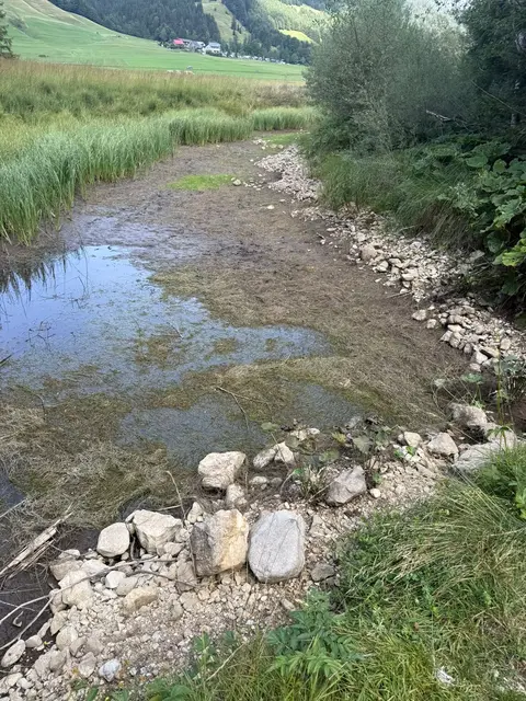 Die anhaltende Trockenheit setzt dem Gewässer stark zu. | Foto: Waibl