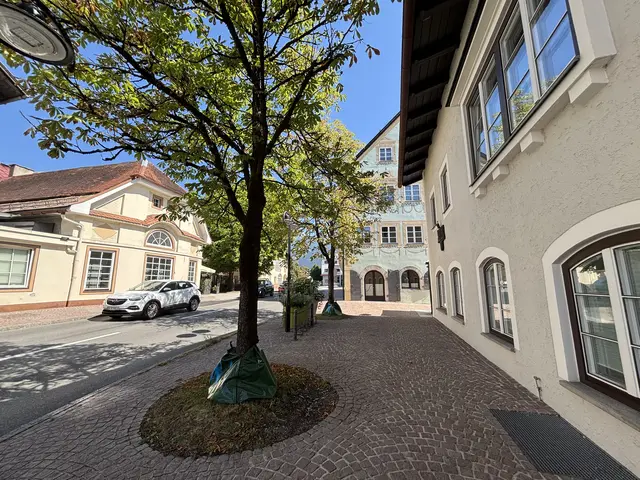Die Bäume vor dem Stadtamt Reutte leiden unter der Hitze. Mit Bewässerungssäcken wird Abhilfe geschaffen. | Foto: MeinBezirk/Hartman