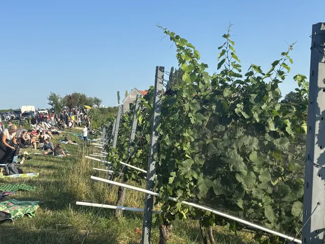 Foto: MeinBezirk