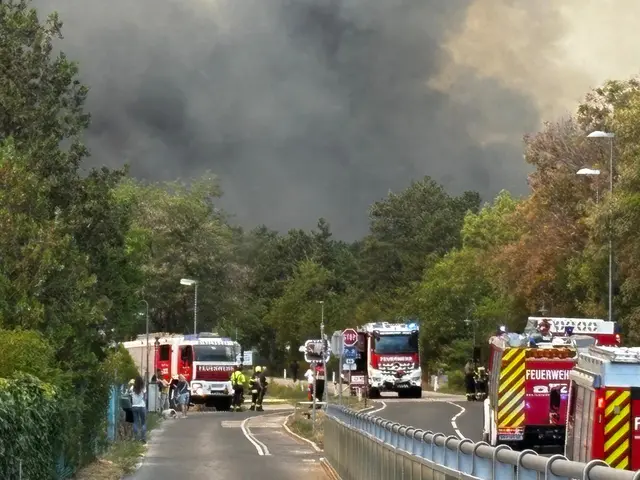 Erneut stehen im Grenzgebiet der Bezirke Wiener Neustadt und Neunkirchen Teile des Waldes in Flammen. | Foto: privat