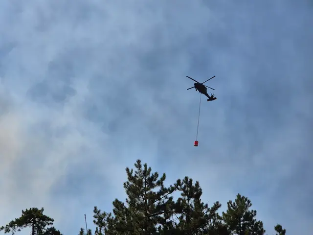 700 Einsatzkräfte und sieben Hubschrauber sind derzeit im Föhrenwald im Kampf gegen den Großbrand im Einsatz. | Foto: einsatzdoku.at