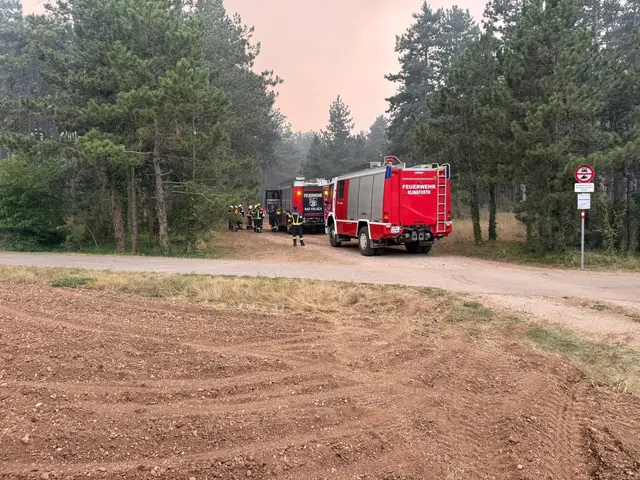 Foto: einsatzdoku.at