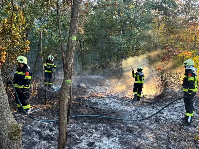Drei Feuerwehren waren bei den Löscharbeiten in St. Margarethen im Einsatz. | Foto: Feuerwehr St. Margarethen