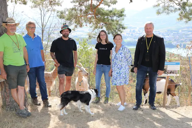 Lokalaugenschein beim Weideprojekt am Braunsdorfer Berg in Krems-Egelsee: Hirte Wolfgang Lipczenko, Hannes Seehofer (Betreuer Schutzgebiet Wachau), Hirte Thomas Barbosa mit Hund Parla, Christina Nagl (Verein Hirtenkultur), Umwelt- und Mobilitätsstadträtin Alexandra Ambrosch sowie Bürgermeister Peter Molnar. | Foto: Stadt Krems