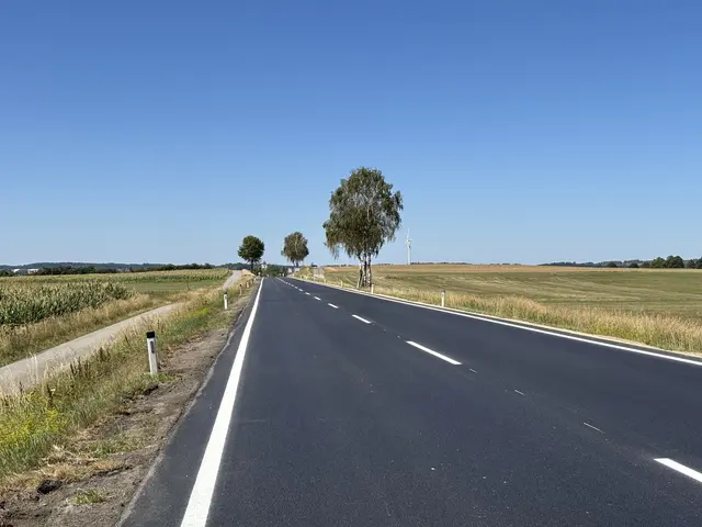 Die neue Straße Blick Richtung Vitis | Foto: Daniel Schmidt