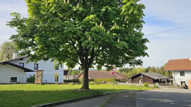 In Pattigham wurde ein Parkplatz zum Pausenhof umfunktioniert. | Foto: Gemeinde Pattigham