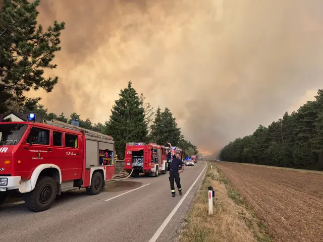 84 Feuerwehren stehen im Föhrenwald im Einsatz und kämpfen gemeinsam gegen die weitere Ausbreitung der Flammen. | Foto: einsatzdoku.at