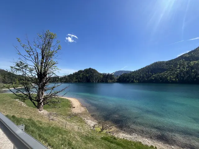 An 13 Messstellen von Badegewässern im Bezirk Kufstein wurde die Wasserqualität geprüft – darunter auch der Hintersteiner See in Scheffau am Wilden Kaiser. | Foto: Barbara Fluckinger