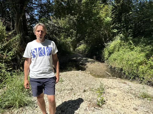Gewässerökologe Martin Mühlbauer zeigt MeinBezirk den ausgetrockneten Anzbach und was das für das Ökosystem bedeutet. | Foto: Lauren Fahrenberger / MeinBezirk