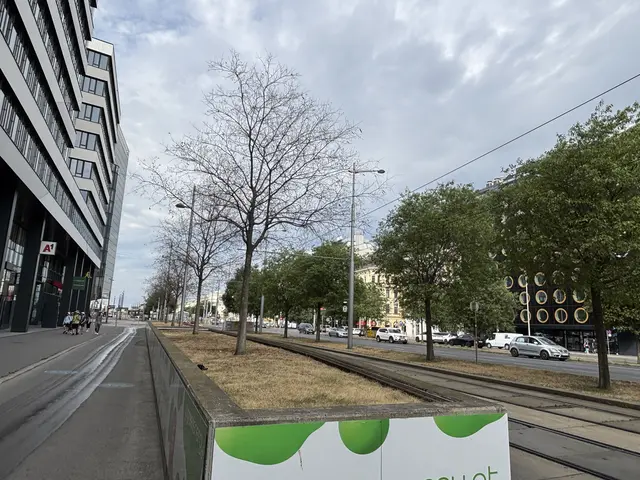 Sechs Bäume am Wiedner Gürtel tragen keine Blätter. Wieso? MeinBezirk hat sich erkundigt. | Foto: Nathanael Peterlini/MeinBezirk
