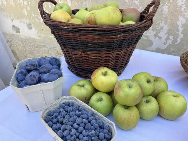 Foto: MeinBezirk