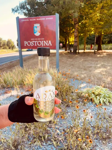 Ein Flascherl Wein als Begleiter: Beim Weingut Adam-Schererkogl holten sich die beiden den passenden Wegbegleiter für ihre 320 Kilometer lange Tour ab. | Foto: Weinblattler