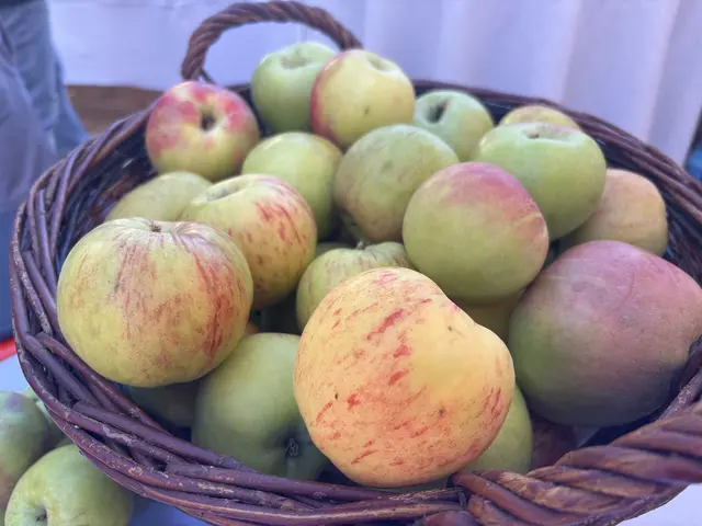 Foto: MeinBezirk