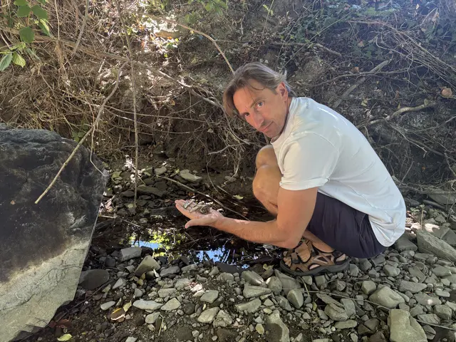 In einer Pfütze finden sich wieder tote Fische. | Foto: Lauren Fahrenberger / MeinBezirk