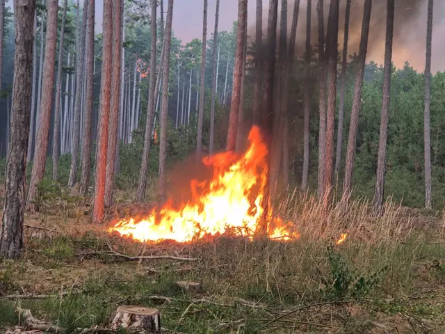 Foto: einsatzdoku.at