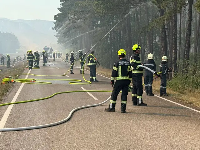 Foto: Gerhard Zwinz